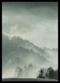 Heilig Land | POSTER