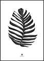 Jungleblad zwart | POSTERBORD