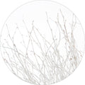 Licht en wit | CIRCLE ART