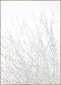 Licht en wit | POSTERBORD