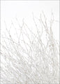 Licht en wit | POSTER