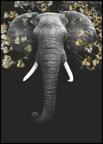 Prachtig | POSTERBORD