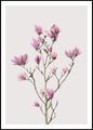 Magnolia2 | POSTERBORD