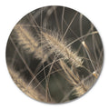 Zachte grassen 2 | CIRCLE ART