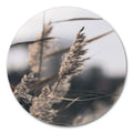 Zachte grassen 3 | CIRCLE ART