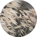 Zachte grassen 4 | CIRCLE ART