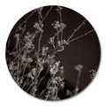 Zachte grassen 6 | CIRCLE ART