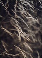 Zachte grassen 7 | POSTERBORD