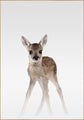 Nevelhert | POSTERBORD