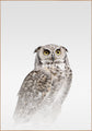 Mistige Uil | POSTERBORD