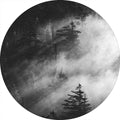 Nevelige dennenbossen | CIRCLE ART