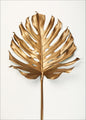 Monstera bladgoud | POSTER