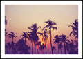 Palmhemel 1 | POSTERBORD