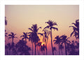 Palmhemel 1 | POSTER