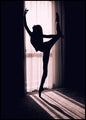 Perfecte curve | POSTERBORD