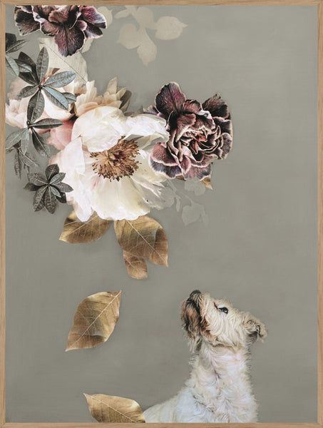 Dierencouture 2 | POSTERBORD