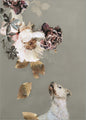 Dierencouture 2 | POSTER