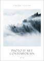 Foto D´art nr. 4 | POSTER