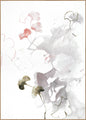 Roze herfst | POSTERBORD