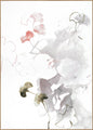 Roze herfst | POSTERBORD