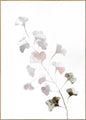 Roze lente | POSTERBORD