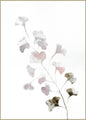 Roze lente | POSTERBORD