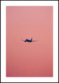Roze vlucht | Poster