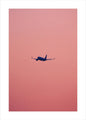 Roze vlucht | POSTER