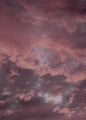 Roze lucht | POSTER