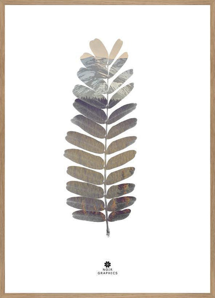 Tamarinde Leaf | POSTER