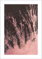 Puur Natuur 3 | POSTER