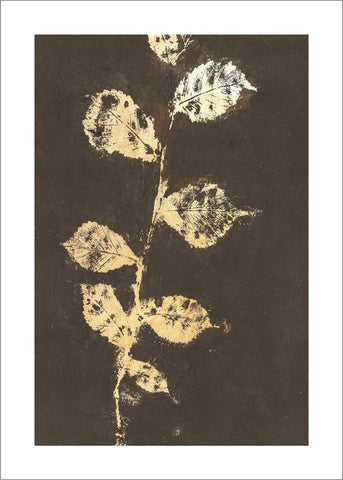 Puur Natuur 4 | POSTER