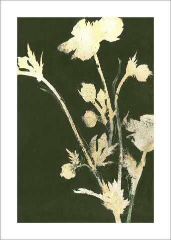 Puur natuur 6 | POSTER