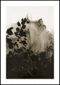 Silhouet Bladeren 2 | POSTERBORD