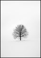 Solitair 1 | Poster