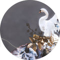 Zwaan Goud 1 | CIRCLE ART