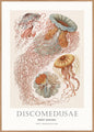 Tafel8 | POSTERBORD