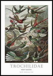 Tafel 99 | POSTERBORD