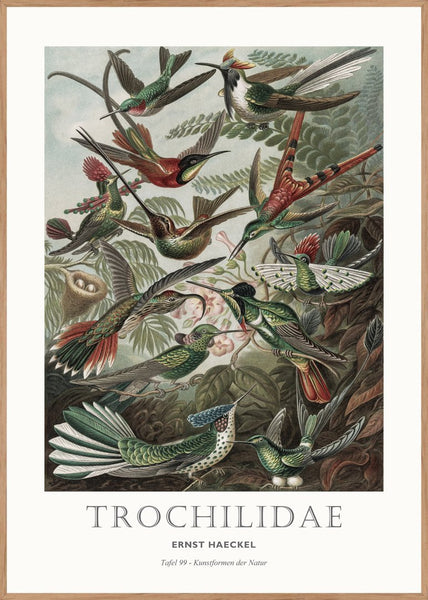 Tafel 99 | POSTERBORD