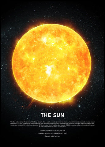 De zon | POSTERBORD