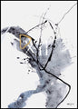 Universum 12 | POSTERBORD