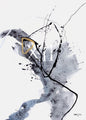 Universum 12 | POSTER