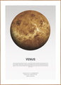 Venuslicht | POSTERBORD