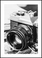 Vintage foto | POSTERBORD