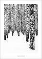Witte editie 2 | POSTER