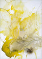 Gele lijn | POSTER
