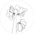 Fijne lijn 6 | CIRCLE ART