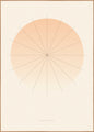 Grafiek 2 | POSTERBORD