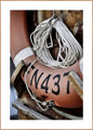 Reddingsboei | POSTERBORD