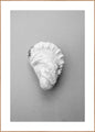 Oester 2 | POSTERBORD